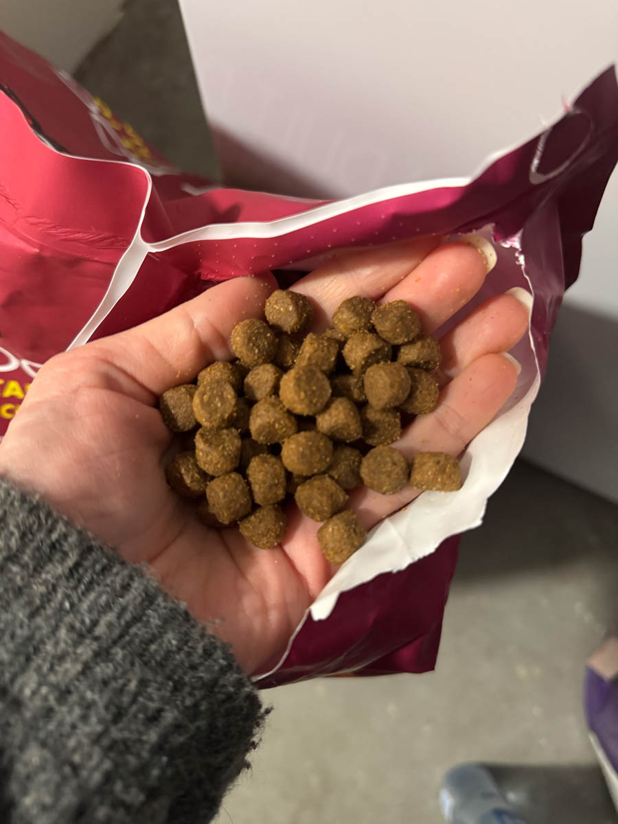 a handful of dog food