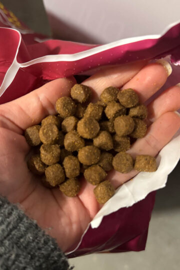 a handful of dog food