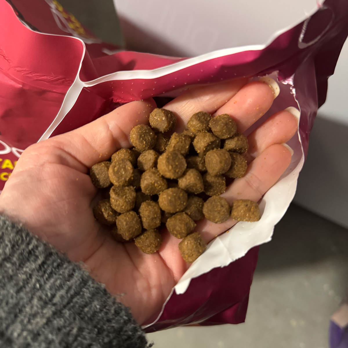 Best Dog Food at Costco: A Detailed Comparison - My Costco Finds