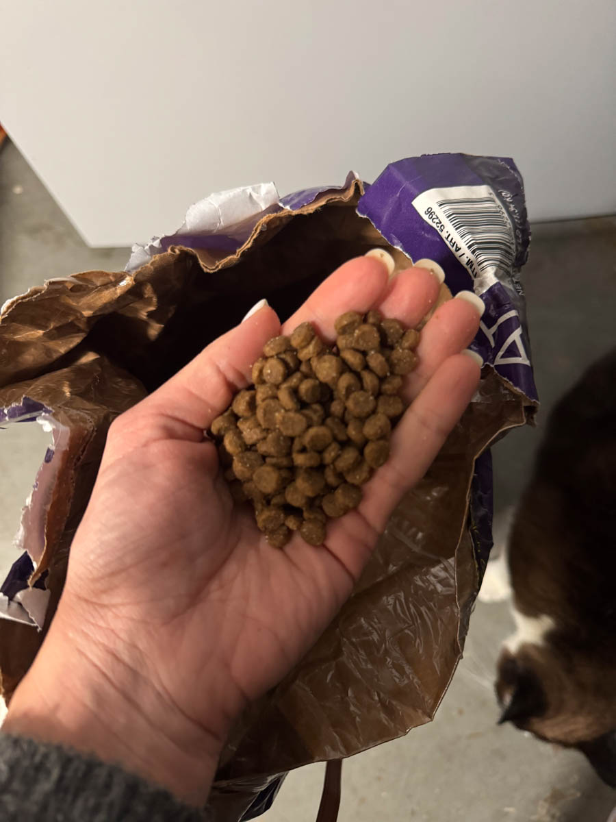 a handful of cat food