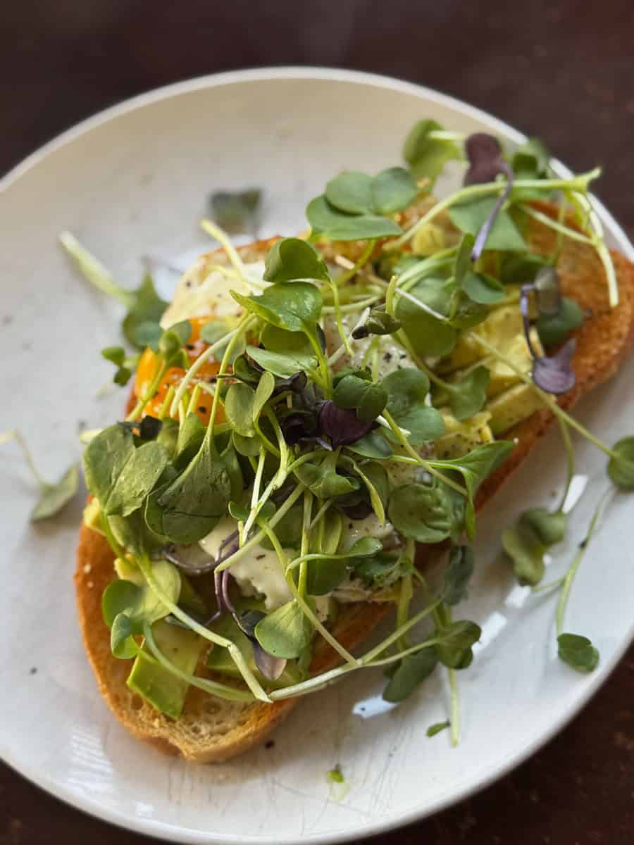 toast with microgreens on top