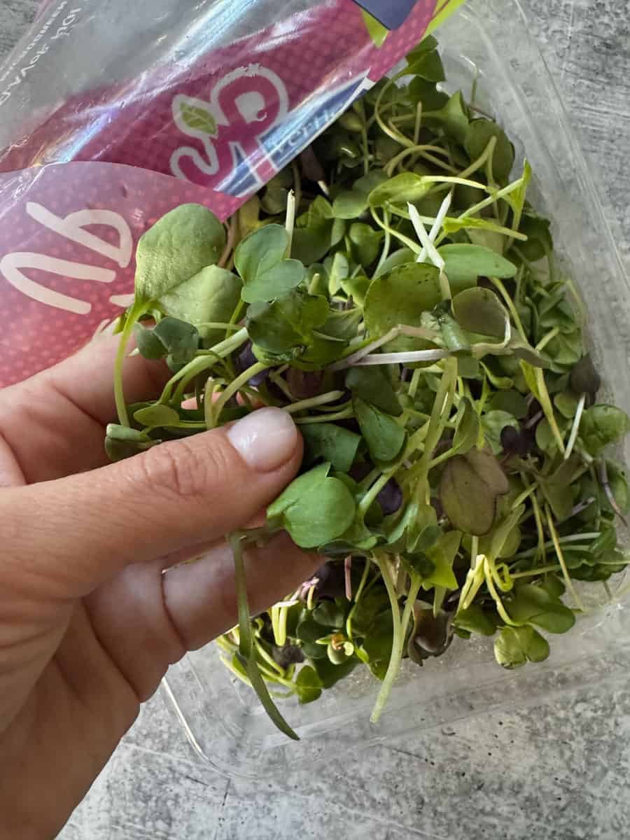 holding microgreens in hand